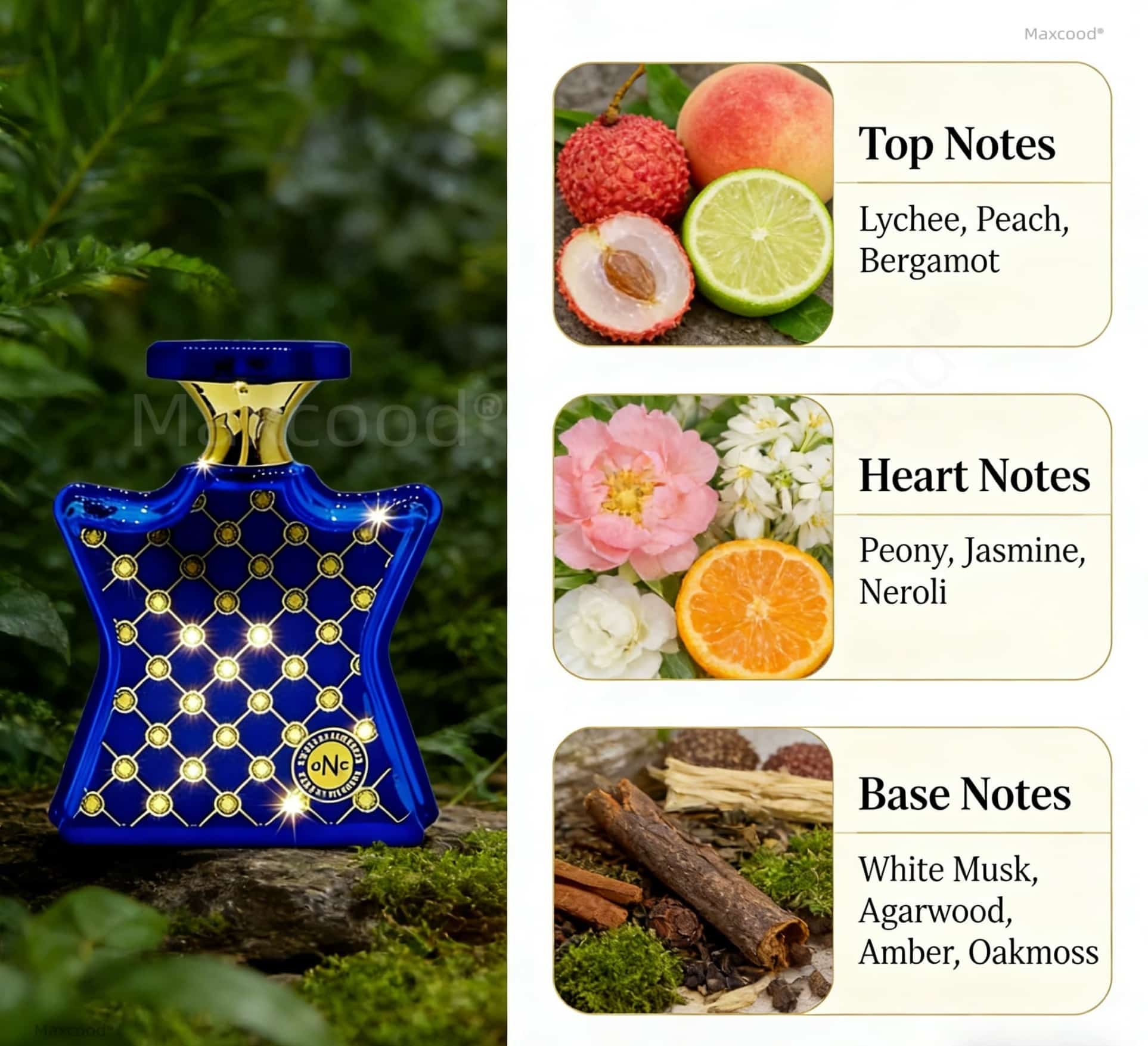 Perfume Cítrico e Floral de Lo - Perfume High Fragrance avaliação e preço