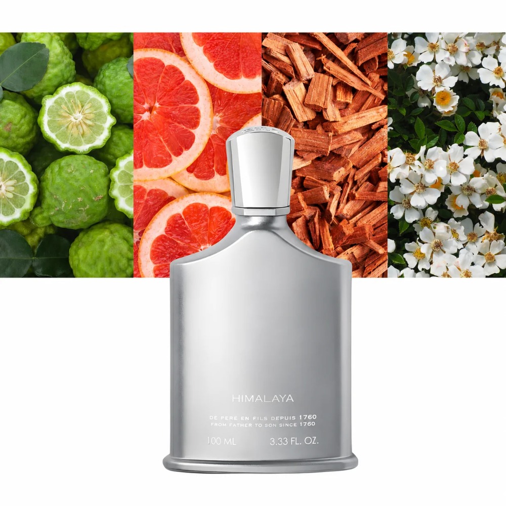 Perfume Aventus para Homens 10 - Perfume High Fragrance avaliação e preço